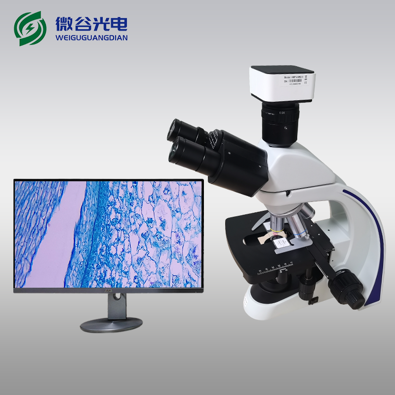 生物數(shù)碼顯微鏡的使用及維護(hù)注意事項(xiàng)