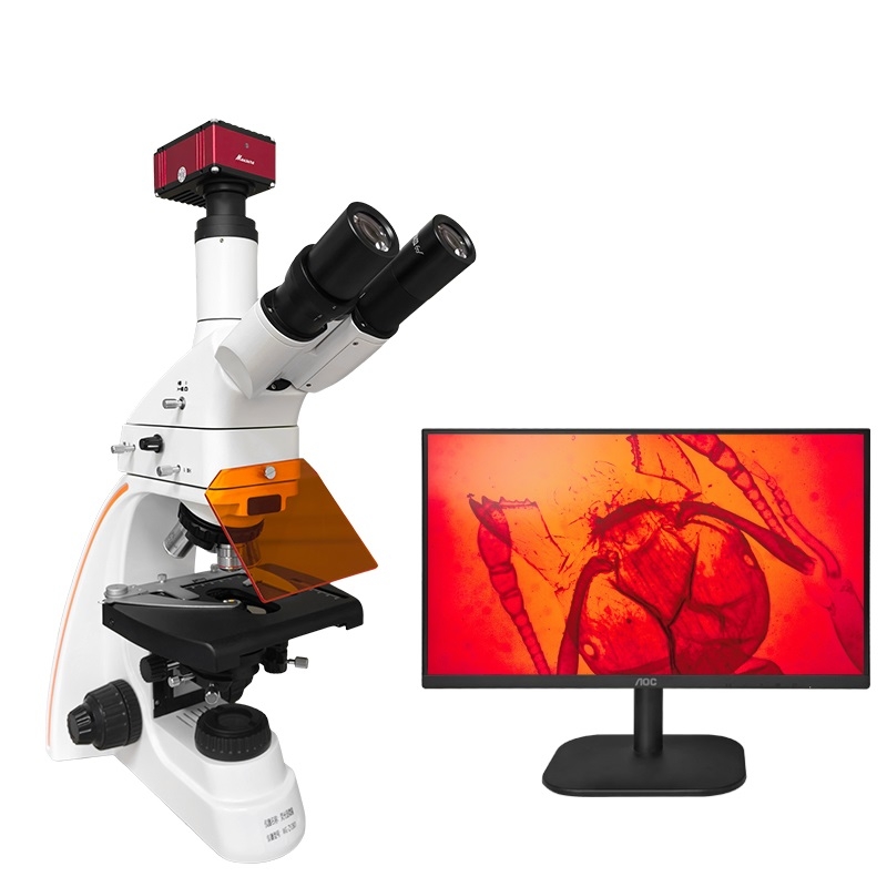 正置熒光生物顯微鏡WG-ZY2801